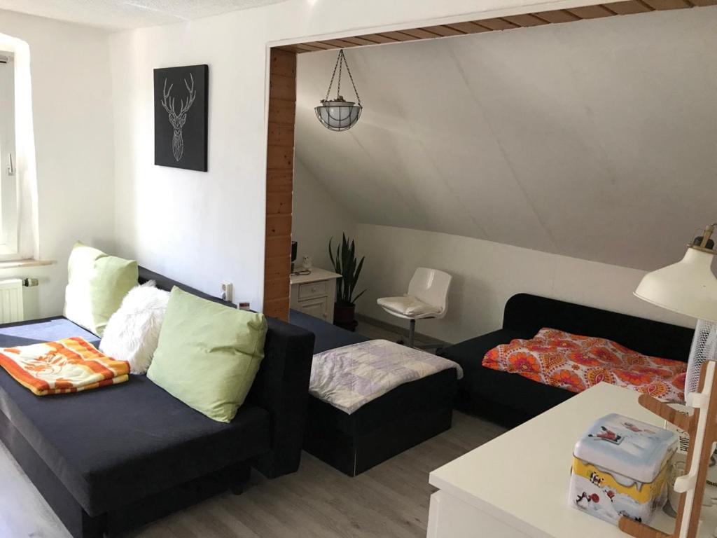 Ferienwohnung Im Einfamilienhaus, Automobil Und Robert Schumann Stadt Цвиккау Экстерьер фото